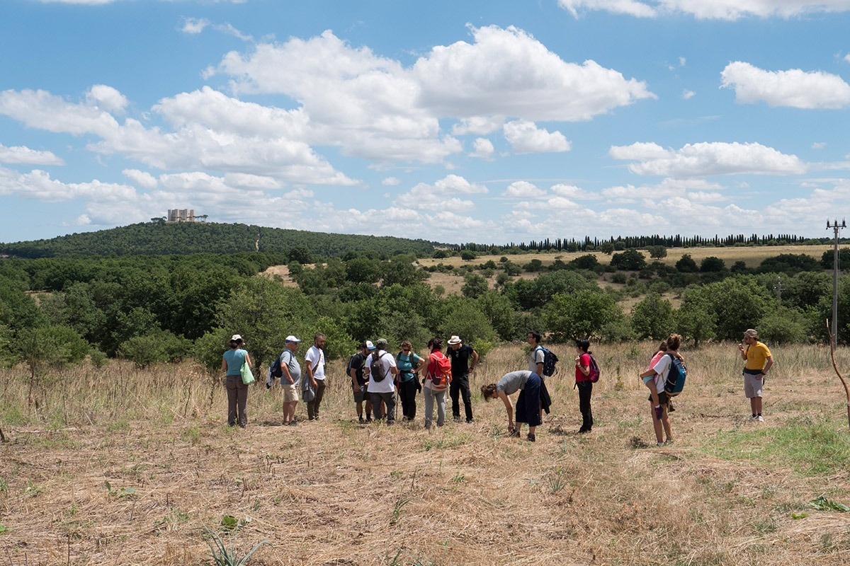 HIKING SECOLARE